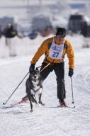 Lenk 2013